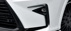 Artisan Spirits Black Label Fog Garnish (FRP) - Lexus RX-F Sport 2015-2019